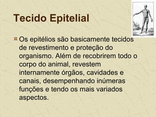 Tecido Epitelial
Os epitélios são basicamente tecidos
de revestimento e proteção do
organismo. Além de recobrirem todo o
corpo do animal, revestem
internamente órgãos, cavidades e
canais, desempenhando inúmeras
funções e tendo os mais variados
aspectos.
 