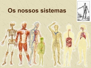 Os nossos sistemas
 