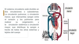 El sistema circulatorio está dividido en
dos circulaciones o subsistemas:
La circulación pulmonar, o circulación
menor, que intercambia sangre entre
el corazón y los pulmones para
realizar su oxigenación; y
la circulación sistémica o circulación
mayor, que distribuye la sangre a
través de todos los otros sistemas y
tejidos del cuerpo
 
