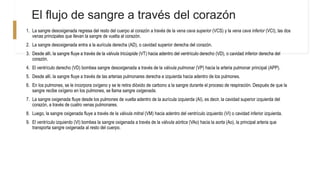 El flujo de sangre a través del corazón
1. La sangre desoxigenada regresa del resto del cuerpo al corazón a través de la vena cava superior (VCS) y la vena cava inferior (VCI), las dos
venas principales que llevan la sangre de vuelta al corazón.
2. La sangre desoxigenada entra a la aurícula derecha (AD), o cavidad superior derecha del corazón.
3. Desde allí, la sangre fluye a través de la válvula tricúspide (VT) hacia adentro del ventrículo derecho (VD), o cavidad inferior derecha del
corazón.
4. El ventrículo derecho (VD) bombea sangre desoxigenada a través de la válvula pulmonar (VP) hacia la arteria pulmonar principal (APP).
5. Desde allí, la sangre fluye a través de las arterias pulmonares derecha e izquierda hacia adentro de los pulmones.
6. En los pulmones, se le incorpora oxígeno y se le retira dióxido de carbono a la sangre durante el proceso de respiración. Después de que la
sangre recibe oxígeno en los pulmones, se llama sangre oxigenada.
7. La sangre oxigenada fluye desde los pulmones de vuelta adentro de la aurícula izquierda (AI), es decir, la cavidad superior izquierda del
corazón, a través de cuatro venas pulmonares.
8. Luego, la sangre oxigenada fluye a través de la válvula mitral (VM) hacia adentro del ventrículo izquierdo (VI) o cavidad inferior izquierda.
9. El ventrículo izquierdo (VI) bombea la sangre oxigenada a través de la válvula aórtica (VAo) hacia la aorta (Ao), la principal arteria que
transporta sangre oxigenada al resto del cuerpo.
 