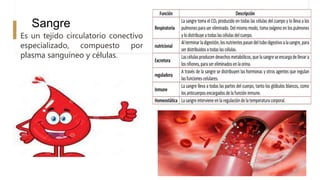 Sangre
Es un tejido circulatorio conectivo
especializado, compuesto por
plasma sanguíneo y células.
 