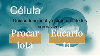 Célula
Unidad funcional y estructural de los
seres vivos.
Procar
iota
Eucario
ta
 