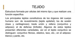 TEJIDO
Estructura formada por células del mismo tipo y que realizan una
función específica.
Los principales tejidos constitutivos de los órganos del cuerpo
humano son: de revestimiento (tejido epitelial); los de sostén
(óseo y cartilaginoso); losde unión y relleno (conjuntivo y
adiposo); el de defensa (linfoide). Algunos de estos tejidos
presentan diferentes variedades, así en el tejido conjuntivo se
distinguen: conjuntivo fibroso, elástico, laxo, etc.; en el adiposo:
blanco y pardo, etc.
 