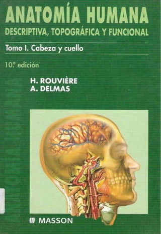 Anatomia humana   cabeza y cuello rouviere