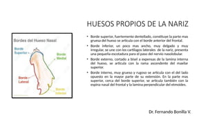 Humindra Rex ANATOMIA HUMANA-Huesos de la Cara Rx.pptx