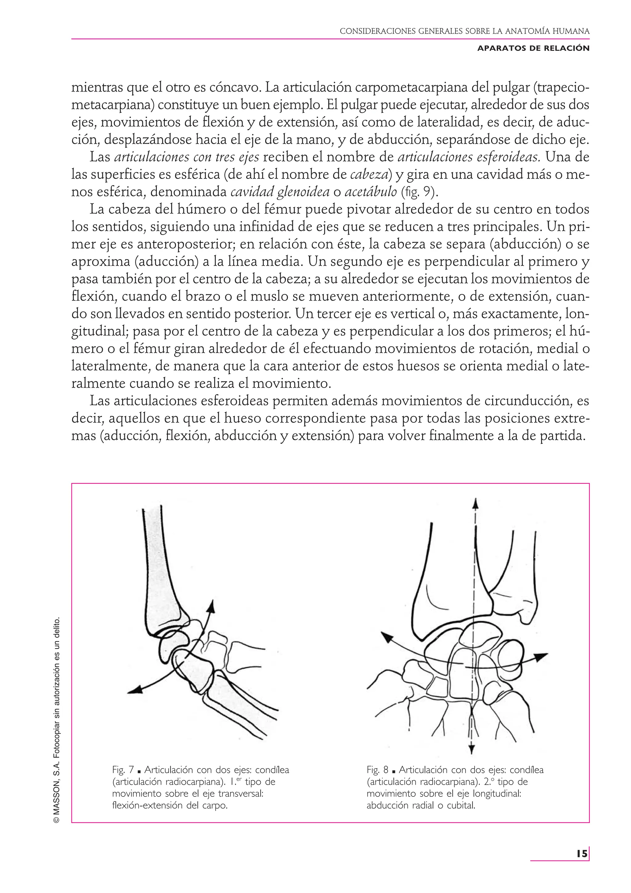 Anatomia Humana - Rouviere - Tomo 1 - 11va Edición.PDF