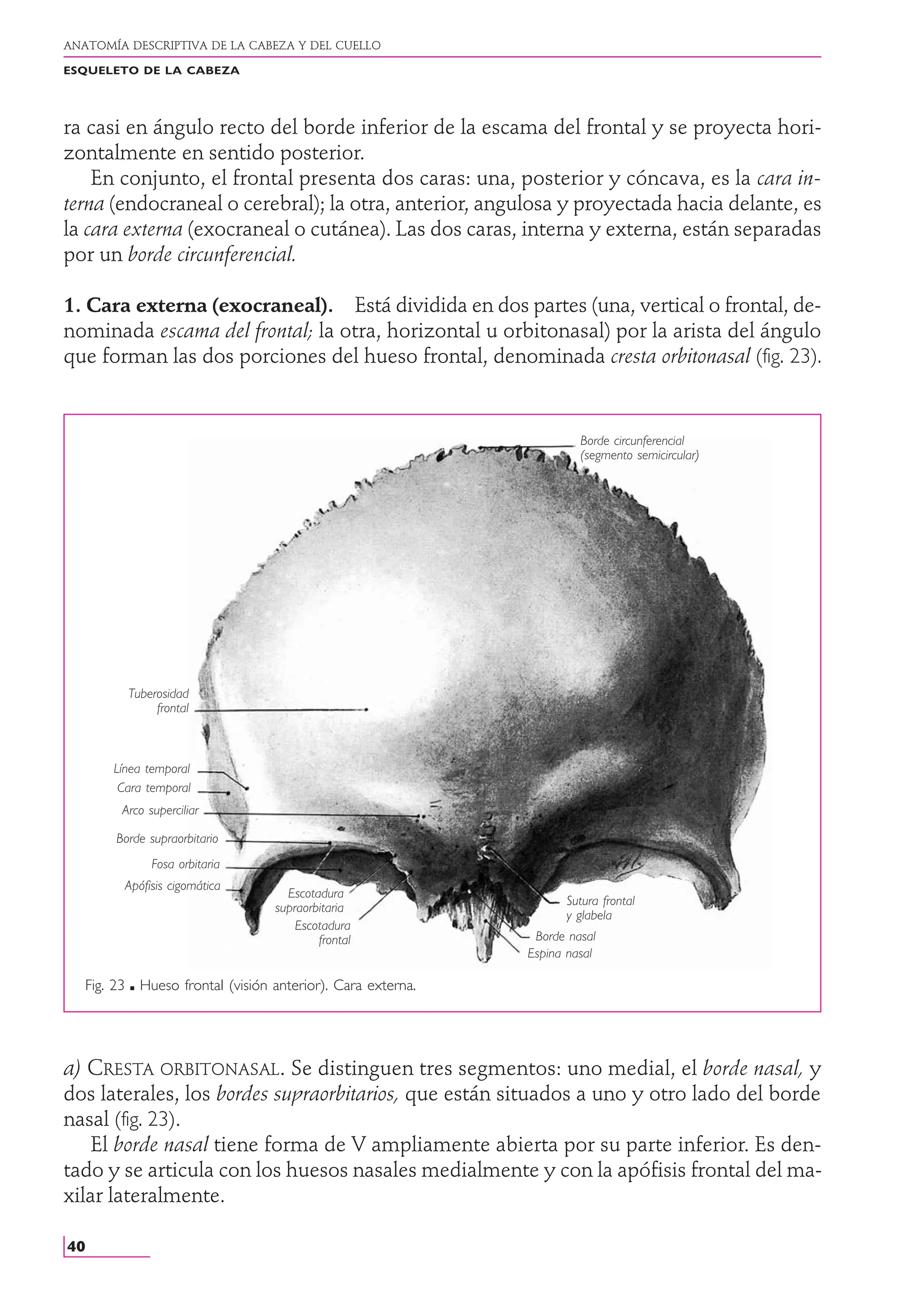 Anatomia Humana - Rouviere - Tomo 1 - 11va Edición.PDF