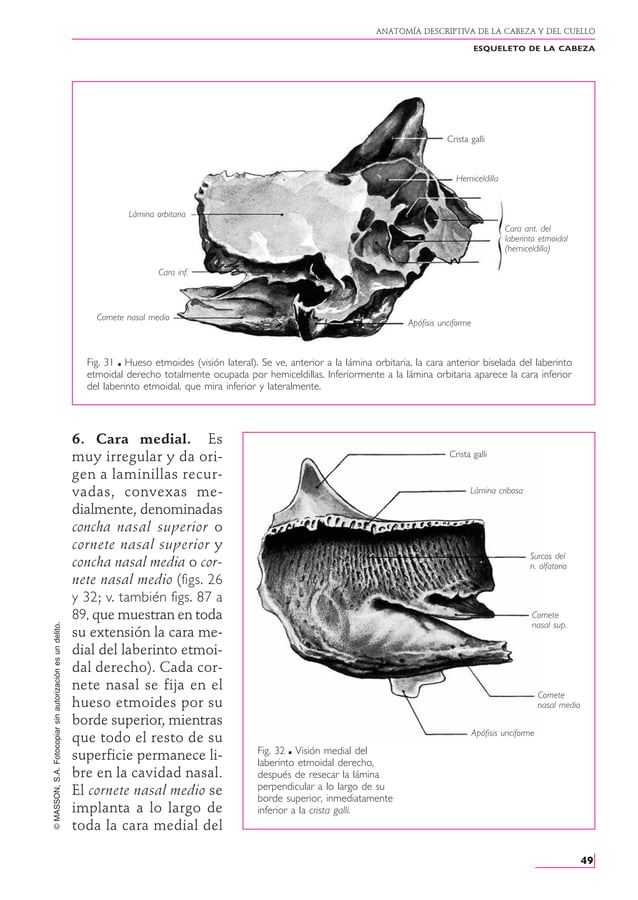 Anatomia Humana - Rouviere - Tomo 1 - 11va Edición.PDF