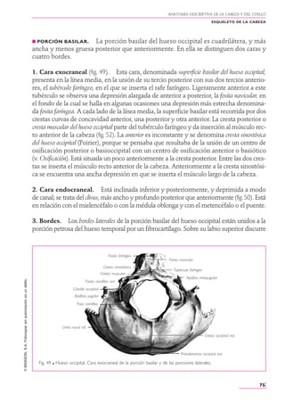 Anatomia Humana - Rouviere - Tomo 1 - 11va Edición.PDF