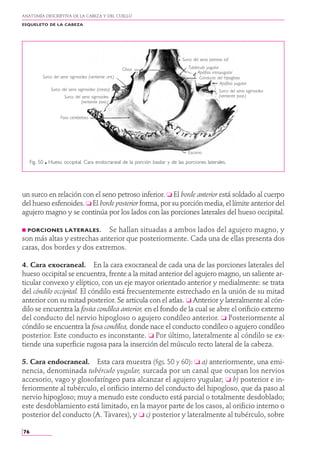 Anatomia Humana - Rouviere - Tomo 1 - 11va Edición.PDF