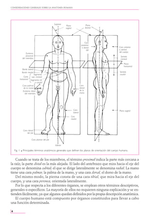 Anatomia Humana - Rouviere - Tomo 1 - 11va Edición.PDF