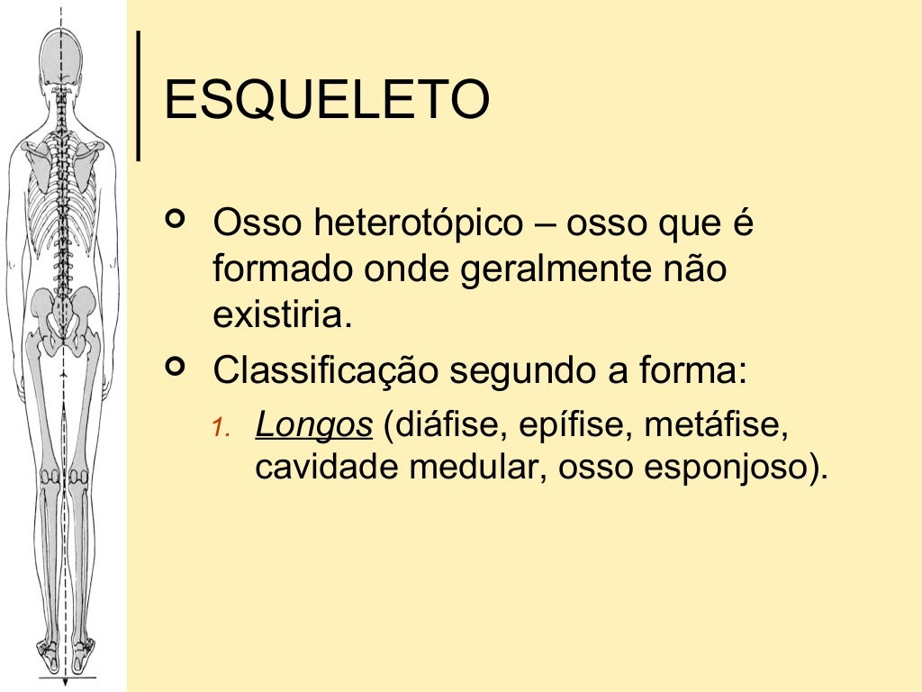 Qual a importância das alusões históricas para a redação? Qual a importância das alusões históricas para a redação?