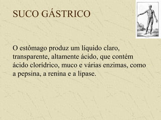 SUCO GÁSTRICO
O estômago produz um líquido claro,
transparente, altamente ácido, que contém
ácido clorídrico, muco e várias enzimas, como
a pepsina, a renina e a lipase.
 