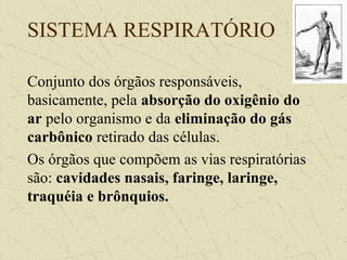 SISTEMA RESPIRATÓRIO
Conjunto dos órgãos responsáveis,
basicamente, pela absorção do oxigênio do
ar pelo organismo e da eliminação do gás
carbônico retirado das células.
Os órgãos que compõem as vias respiratórias
são: cavidades nasais, faringe, laringe,
traquéia e brônquios.
 