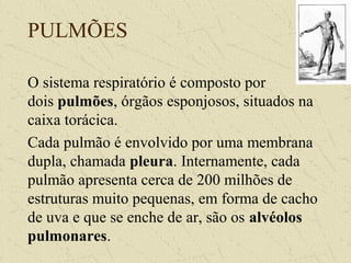 PULMÕES
O sistema respiratório é composto por
dois pulmões, órgãos esponjosos, situados na
caixa torácica.
Cada pulmão é envolvido por uma membrana
dupla, chamada pleura. Internamente, cada
pulmão apresenta cerca de 200 milhões de
estruturas muito pequenas, em forma de cacho
de uva e que se enche de ar, são os alvéolos
pulmonares.
 