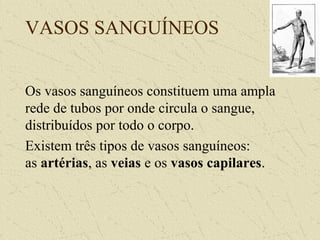 VASOS SANGUÍNEOS
Os vasos sanguíneos constituem uma ampla
rede de tubos por onde circula o sangue,
distribuídos por todo o corpo.
Existem três tipos de vasos sanguíneos:
as artérias, as veias e os vasos capilares.
 