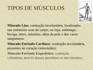 TIPOS DE MÚSCULOS
Músculo Liso: contração involuntária, localizados
nas estruturas ocas do corpo, ou seja, estômago,
bexiga, útero, intestino, além da pele e dos vasos
sanguíneos;
Músculo Estriado Cardíaco: contração involuntária,
presentes no coração (miocárdio);
Músculo Estriado Esquelético: contração
voluntária, através dessas permitem os movimentos;
 