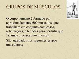 GRUPOS DE MÚSCULOS
O corpo humano é formado por
aproximadamente 600 músculos, que
trabalham em conjunto com ossos,
articulações, e tendões para permitir que
façamos diversos movimentos.
São agrupados nos seguintes grupos
musculares:
 