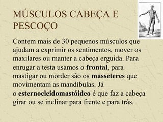 MÚSCULOS CABEÇA E
PESCOÇO
Contem mais de 30 pequenos músculos que
ajudam a exprimir os sentimentos, mover os
maxilares ou manter a cabeça erguida. Para
enrugar a testa usamos o frontal, para
mastigar ou morder são os masseteres que
movimentam as mandíbulas. Já
o esternocleidomastóideo é que faz a cabeça
girar ou se inclinar para frente e para trás.
 