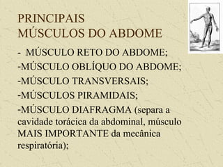 PRINCIPAIS
MÚSCULOS DO ABDOME
- MÚSCULO RETO DO ABDOME;
-MÚSCULO OBLÍQUO DO ABDOME;
-MÚSCULO TRANSVERSAIS;
-MÚSCULOS PIRAMIDAIS;
-MÚSCULO DIAFRAGMA (separa a
cavidade torácica da abdominal, músculo
MAIS IMPORTANTE da mecânica
respiratória);
 