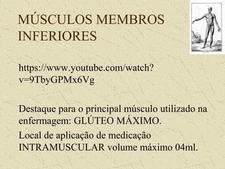 MÚSCULOS MEMBROS
INFERIORES
https://www.youtube.com/watch?
v=9TbyGPMx6Vg
Destaque para o principal músculo utilizado na
enfermagem: GLÚTEO MÁXIMO.
Local de aplicação de medicação
INTRAMUSCULAR volume máximo 04ml.
 
