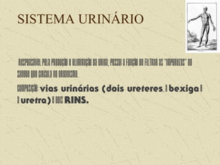 SISTEMA URINÁRIO
Responsávelpelaproduçãoeeliminaçãodaurina,possuiafunçãodefiltraras"impurezas"do
sanguequecirculanoorganismo.
Composição:vias urinárias (dois ureteres,abexigae
auretra)edoisRINS.
 