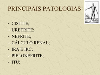 PRINCIPAIS PATOLOGIAS
- CISTITE;
- URETRITE;
- NEFRITE;
- CÁLCULO RENAL;
- IRA E IRC;
- PIELONEFRITE;
- ITU;
 