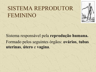 SISTEMA REPRODUTOR
FEMININO
Sistema responsável pela reprodução humana.
Formado pelos seguintes órgãos: ovários, tubas
uterinas, útero e vagina.
 