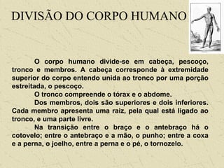 O corpo humano divide-se em cabeça, pescoço,
tronco e membros. A cabeça corresponde à extremidade
superior do corpo entendo unida ao tronco por uma porção
estreitada, o pescoço.
O tronco compreende o tórax e o abdome.
Dos membros, dois são superiores e dois inferiores.
Cada membro apresenta uma raiz, pela qual está ligado ao
tronco, e uma parte livre.
Na transição entre o braço e o antebraço há o
cotovelo; entre o antebraço e a mão, o punho; entre a coxa
e a perna, o joelho, entre a perna e o pé, o tornozelo.
DIVISÃO DO CORPO HUMANO
 