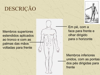 DESCRIÇÃO
Em pé, com a
face para frente e
olhar dirigido
para o horizonte
Membros inferiores
unidos, com as pontas
dos pés dirigidas para
frente
Membros superiores
estendidos aplicados
ao tronco e com as
palmas das mãos
voltadas para frente
 