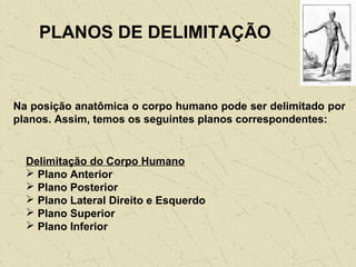 PLANOS DE DELIMITAÇÃO
Na posição anatômica o corpo humano pode ser delimitado por
planos. Assim, temos os seguintes planos correspondentes:
Delimitação do Corpo Humano
 Plano Anterior
 Plano Posterior
 Plano Lateral Direito e Esquerdo
 Plano Superior
 Plano Inferior
 