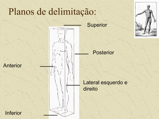 Planos de delimitação:
Superior
Posterior
Lateral esquerdo e
direito
Inferior
Anterior
 