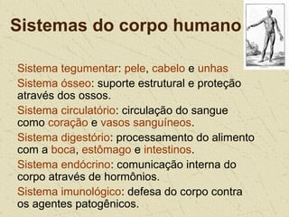 Sistemas do corpo humano
Sistema tegumentar: pele, cabelo e unhas
Sistema ósseo: suporte estrutural e proteção
através dos ossos.
Sistema circulatório: circulação do sangue
como coração e vasos sanguíneos.
Sistema digestório: processamento do alimento
com a boca, estômago e intestinos.
Sistema endócrino: comunicação interna do
corpo através de hormônios.
Sistema imunológico: defesa do corpo contra
os agentes patogênicos.
 
