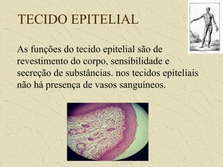 TECIDO EPITELIAL
As funções do tecido epitelial são de
revestimento do corpo, sensibilidade e
secreção de substâncias. nos tecidos epiteliais
não há presença de vasos sanguíneos.
 