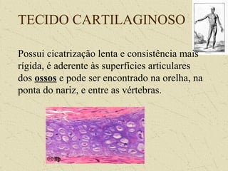 TECIDO CARTILAGINOSO
Possui cicatrização lenta e consistência mais
rígida, é aderente às superfícies articulares
dos ossos e pode ser encontrado na orelha, na
ponta do nariz, e entre as vértebras.
 