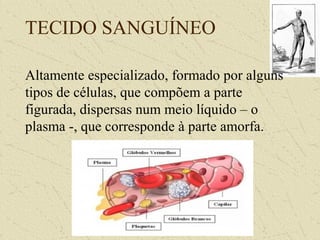 TECIDO SANGUÍNEO
Altamente especializado, formado por alguns
tipos de células, que compõem a parte
figurada, dispersas num meio líquido – o
plasma -, que corresponde à parte amorfa.
 