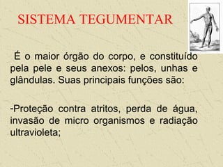 SISTEMA TEGUMENTAR
É o maior órgão do corpo, e constituído
pela pele e seus anexos: pelos, unhas e
glândulas. Suas principais funções são:
-Proteção contra atritos, perda de água,
invasão de micro organismos e radiação
ultravioleta;
 