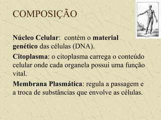 COMPOSIÇÃO
Núcleo Celular: contém o material
genético das células (DNA).
Citoplasma: o citoplasma carrega o conteúdo
celular onde cada organela possui uma função
vital.
Membrana Plasmática: regula a passagem e
a troca de substâncias que envolve as células.
 