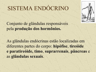 SISTEMA ENDÓCRINO
Conjunto de glândulas responsáveis
pela produção dos hormônios.
As glândulas endócrinas estão localizadas em
diferentes partes do corpo: hipófise, tireóide
e paratireóide, timo, suprarrenais, pâncreas e
as glândulas sexuais.
 