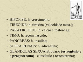 - HIPÓFISE: h. crescimento;
- TIREÓIDE: h. tiroxina (velocidade meta.);
- PARATIREÓIDE: h. cálcio e fósforo sg;
- TIMO: h. recém nascido;
- PÂNCREAS: h. insulina;
- SUPRA RENAIS: h. adrenalina;
- GLÂNDULAS SEXUAIS: ovário (estrogênio e
a progesterona) e testículo ( testosterona);
 