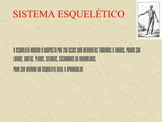 SISTEMA ESQUELÉTICO
Oesqueletohumanoécompostopor206ossoscomdiferentestamanhoseformas,podemser
longos,curtos,planos,suturais,sesamóidesouirregulares.
Podeserdivididoemesqueletoaxialeapendicular.
 