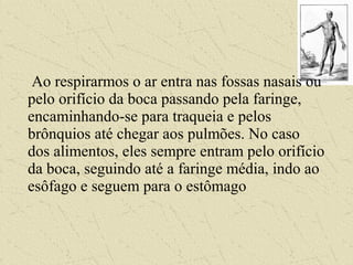 Ao respirarmos o ar entra nas fossas nasais ou
pelo orifício da boca passando pela faringe,
encaminhando-se para traqueia e pelos
brônquios até chegar aos pulmões. No caso
dos alimentos, eles sempre entram pelo orifício
da boca, seguindo até a faringe média, indo ao
esôfago e seguem para o estômago
 