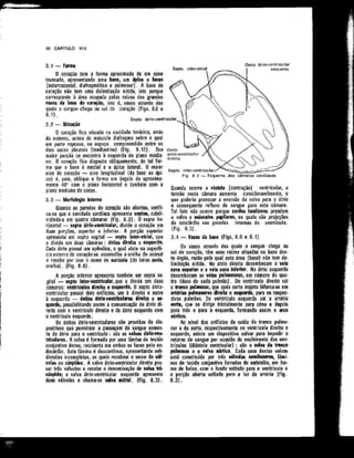 Anatomia_Humana_Basica_2ed_-_D.pdf