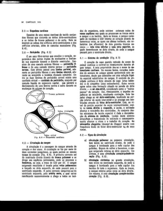 Anatomia_Humana_Basica_2ed_-_D.pdf