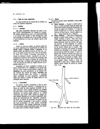 Anatomia_Humana_Basica_2ed_-_D.pdf