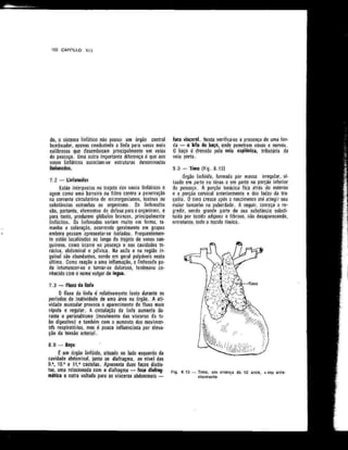 Anatomia_Humana_Basica_2ed_-_D.pdf