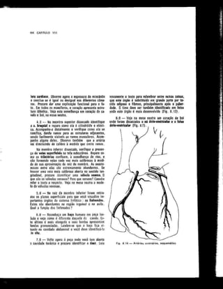 Anatomia_Humana_Basica_2ed_-_D.pdf