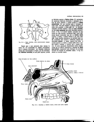 Anatomia_Humana_Basica_2ed_-_D.pdf