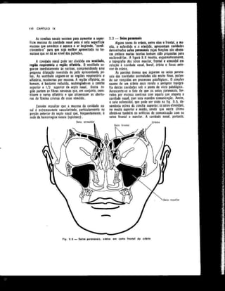 Anatomia_Humana_Basica_2ed_-_D.pdf