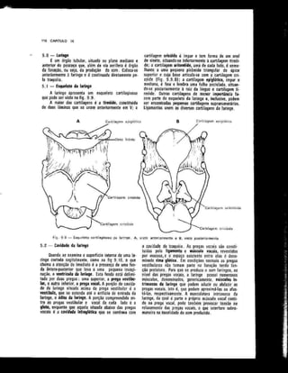 Anatomia_Humana_Basica_2ed_-_D.pdf